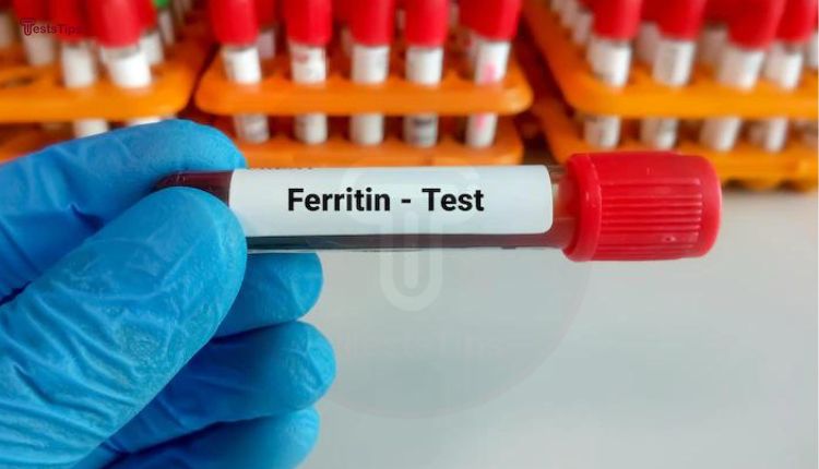 Ferritin blood test